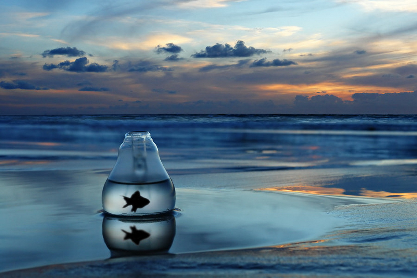 世界拳击赛场医学保障体系升级，世界拳击协会wba